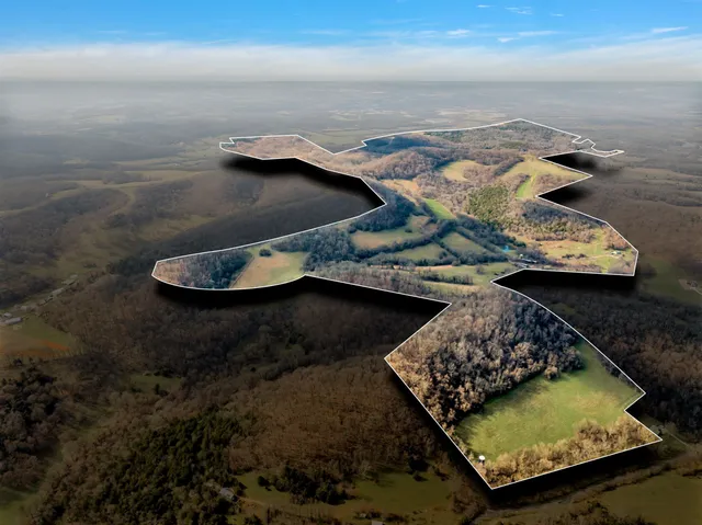 a view of a house with backyard and trees