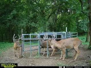 a view of balcony with wooden floor