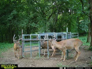 0 Fishing Ford Road Belfast, TN 37019 - Photo 21 of 70