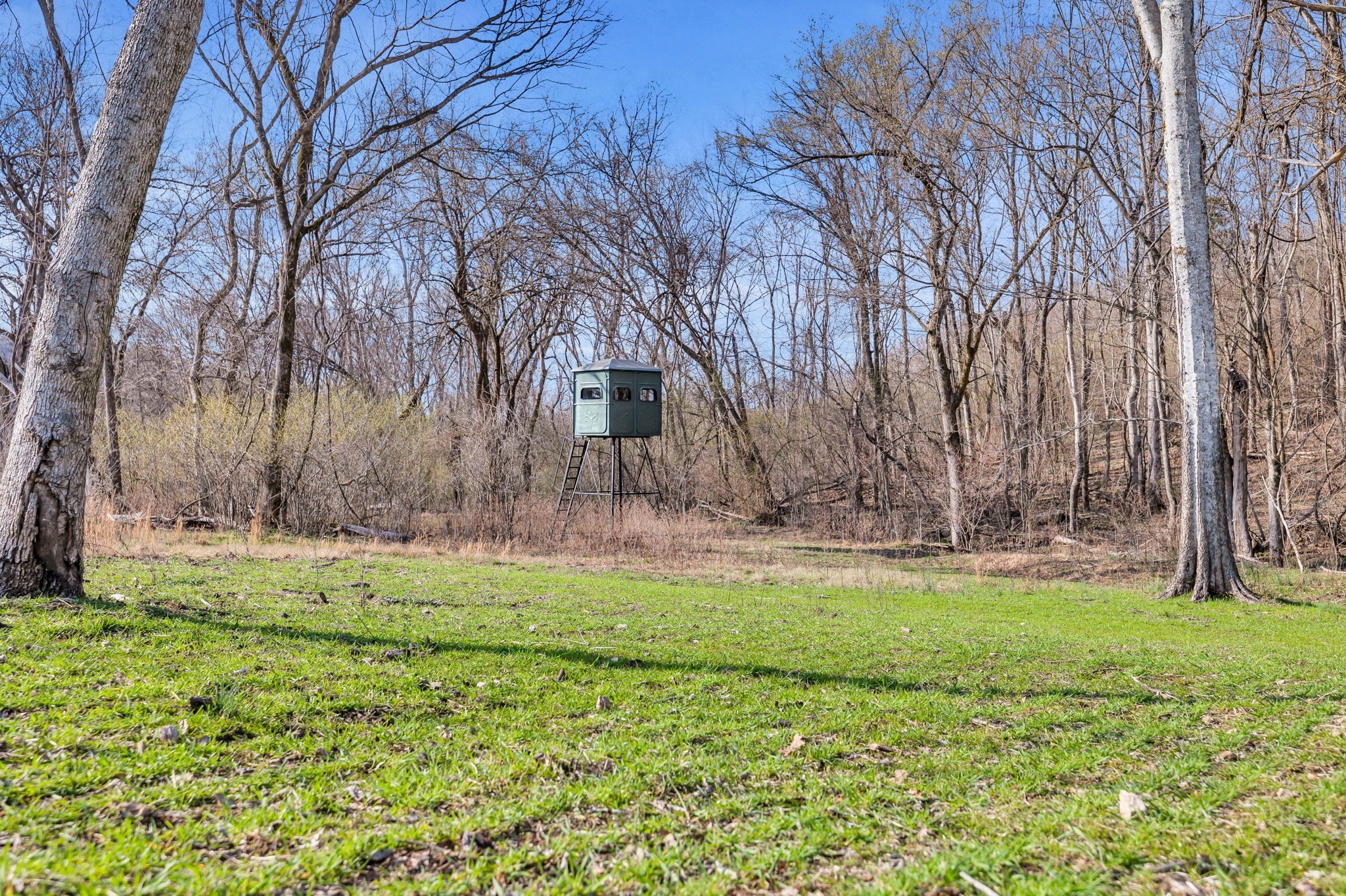 0 Fishing Ford Road Belfast, TN 37019 - Photo 23 of 70 a white house with a yard and large trees