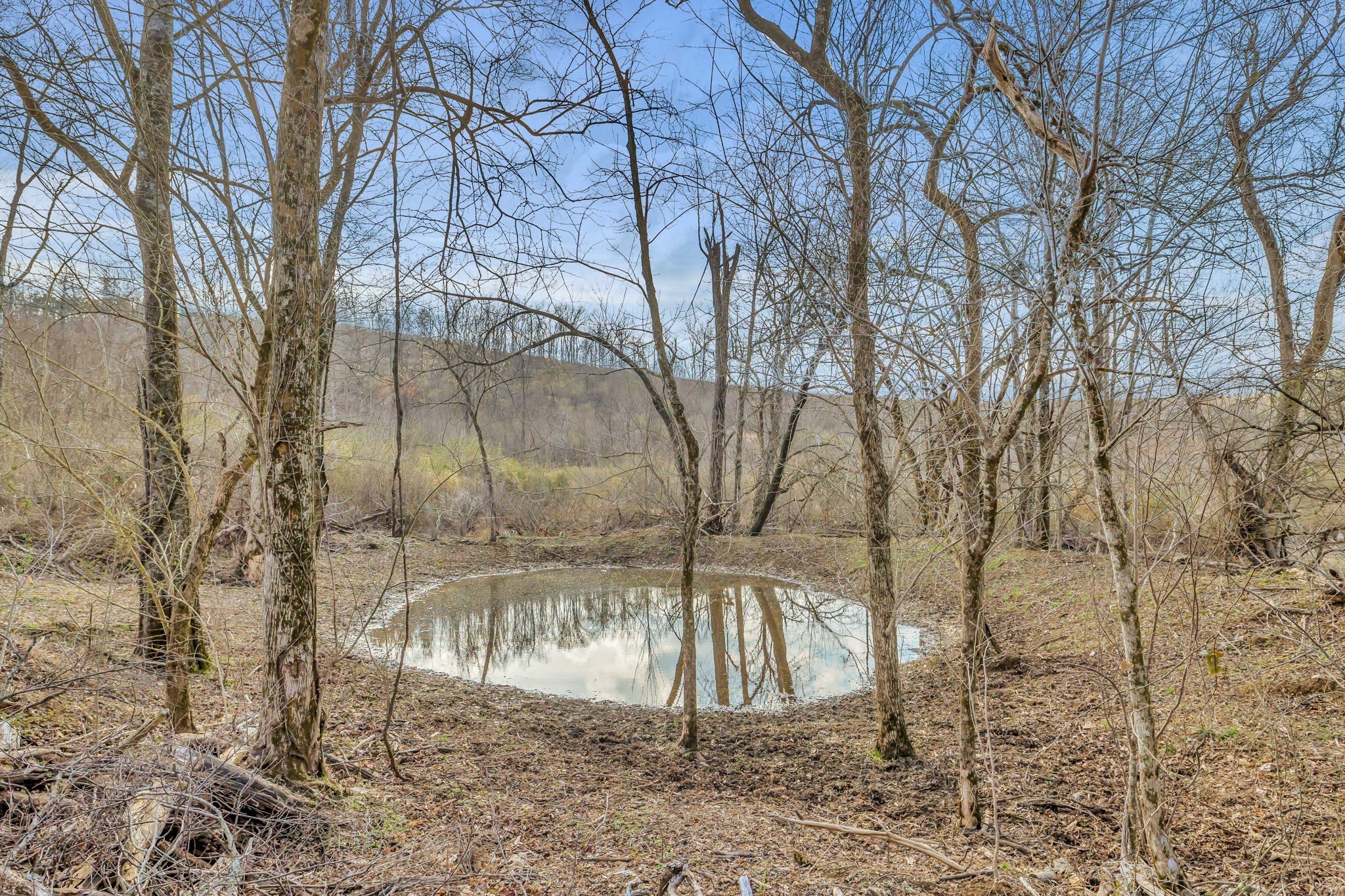 0 Fishing Ford Road Belfast, TN 37019 - Photo 25 of 70