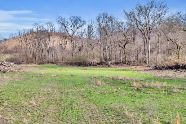 a view of a field of grass and trees