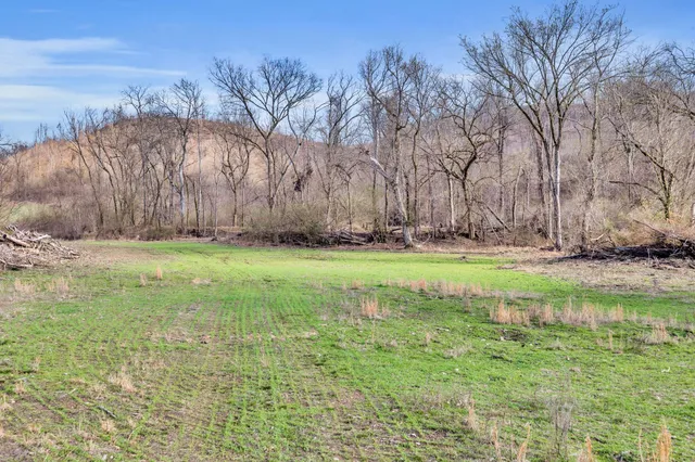 a view of a field of grass and trees