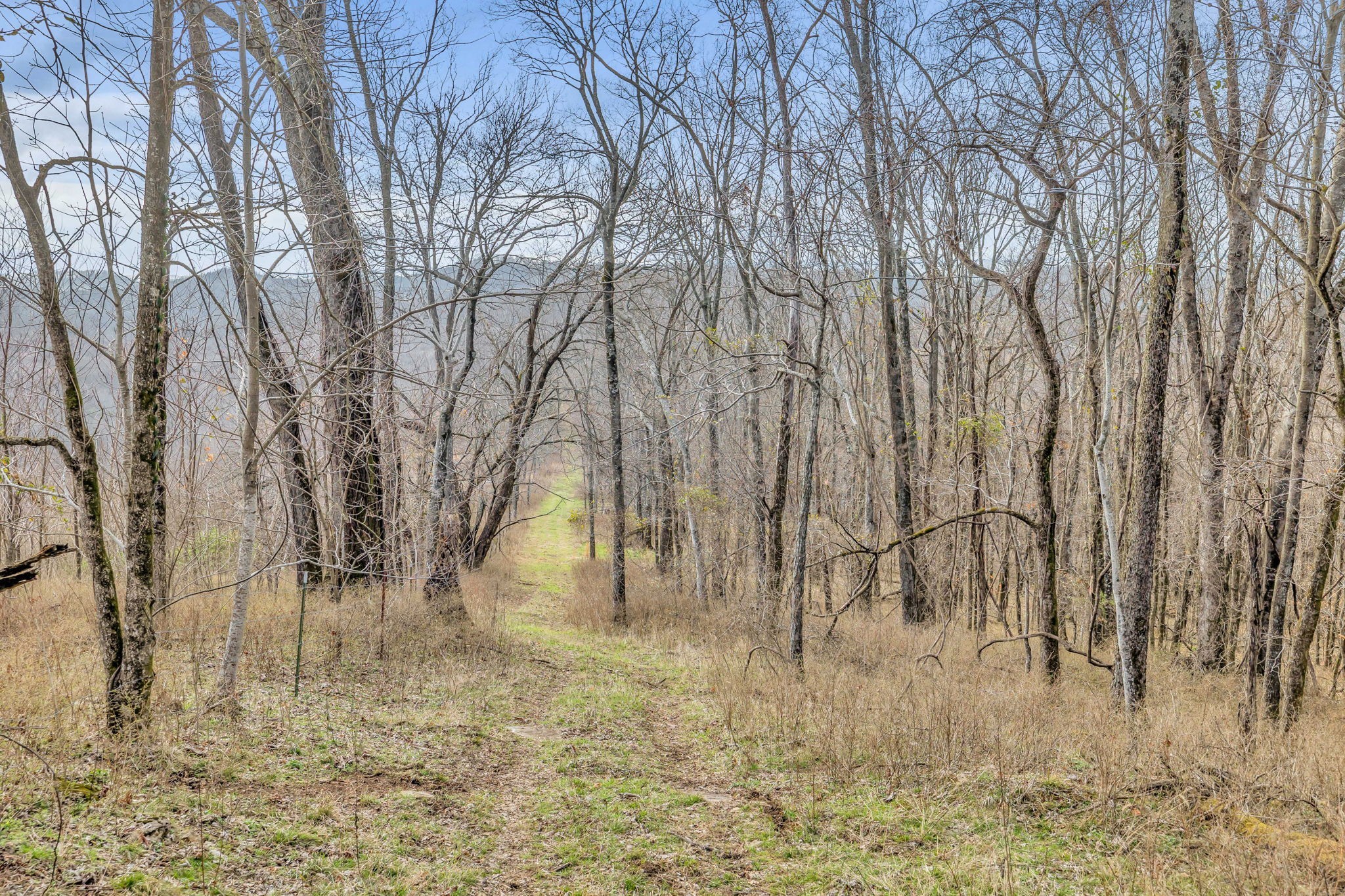 0 Fishing Ford Road Belfast, TN 37019 - Photo 27 of 70
