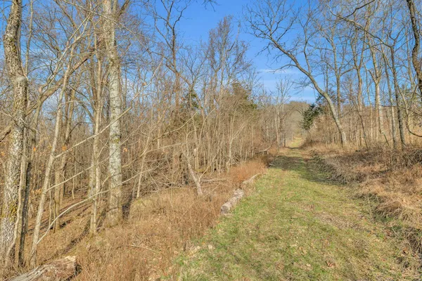 a view of an outdoor space and a yard