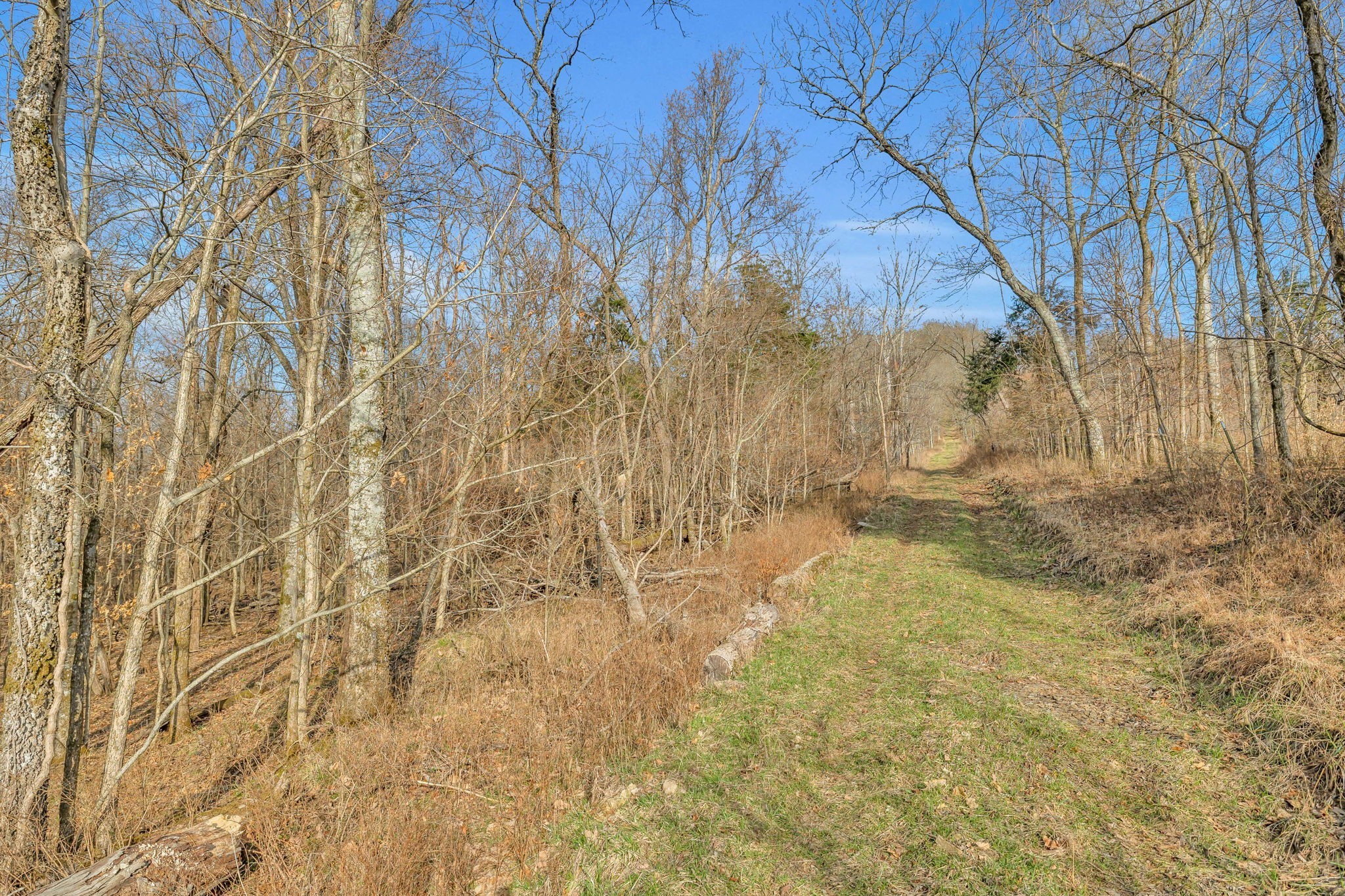 0 Fishing Ford Road Belfast, TN 37019 - Photo 28 of 70