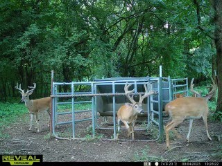 0 Fishing Ford Road Belfast, TN 37019 - Photo 29 of 70 a view of a chair and fire pit in the back yard