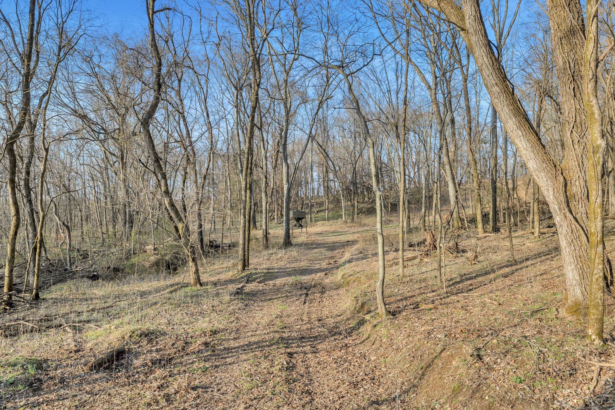 0 Fishing Ford Road Belfast, TN 37019 - Photo 34 of 70 a view of a backyard with wooden fence