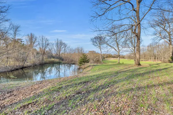 a view of a yard with a tree