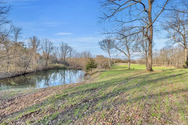 a view of a yard with a tree
