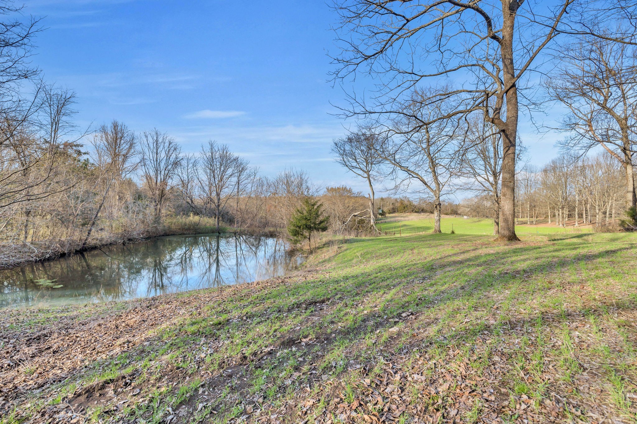 0 Fishing Ford Road Belfast, TN 37019 - Photo 35 of 70 a view of a yard with a house in the background