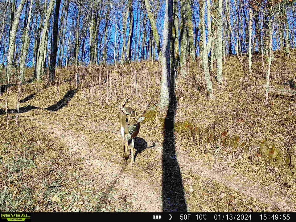 0 Fishing Ford Road Belfast, TN 37019 - Photo 36 of 70