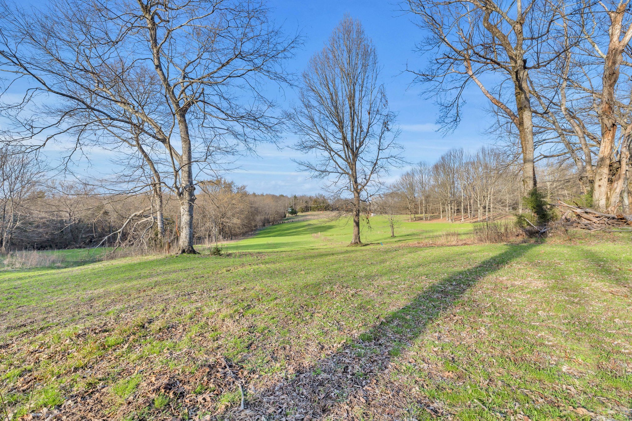 0 Fishing Ford Road Belfast, TN 37019 - Photo 37 of 70 a view of field with large trees