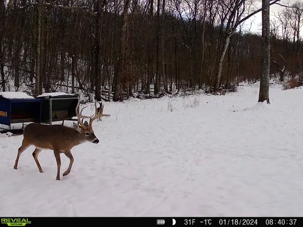 a close view of a shower in a bathroom
