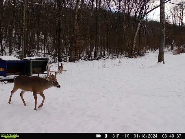 a close view of a shower in a bathroom