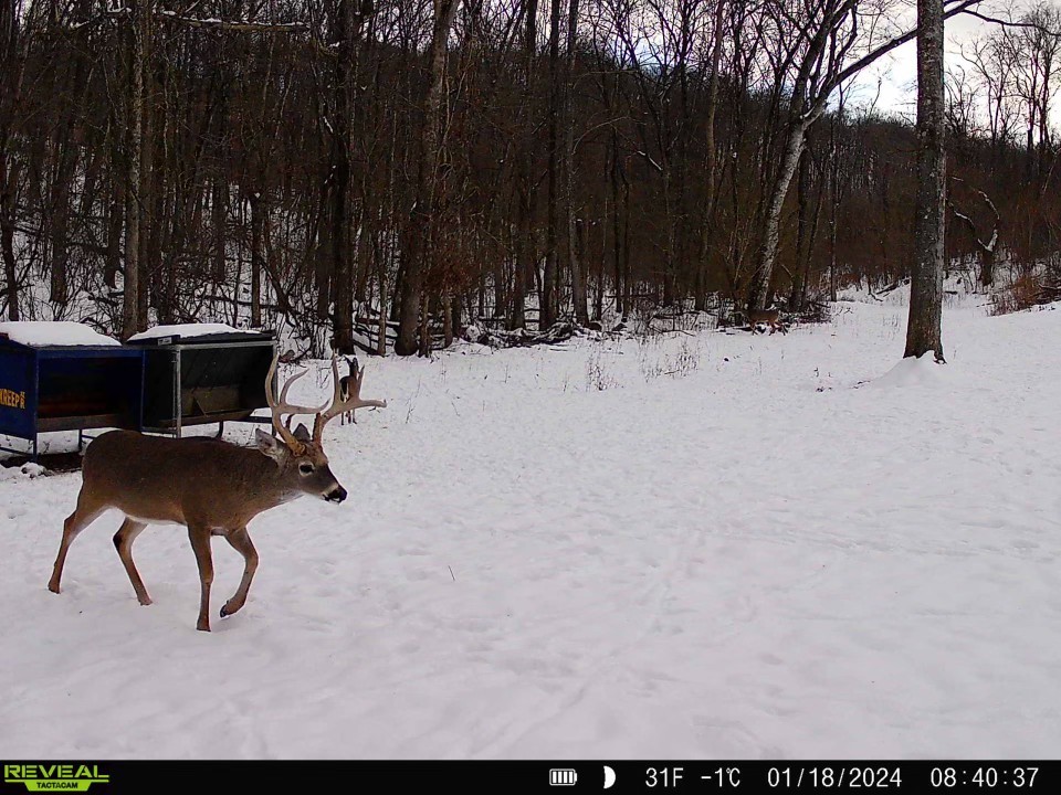 0 Fishing Ford Road Belfast, TN 37019 - Photo 38 of 70 a view of outdoor space with seating