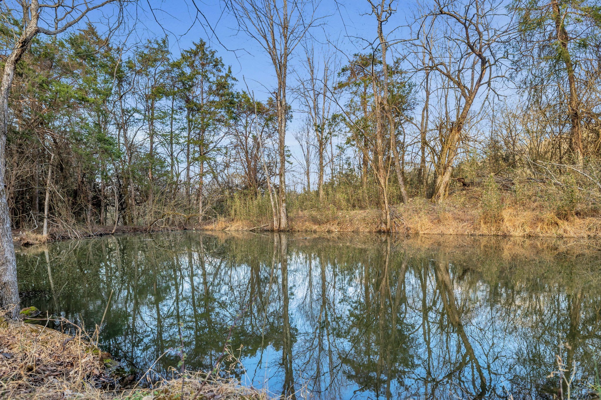 0 Fishing Ford Road Belfast, TN 37019 - Photo 39 of 70