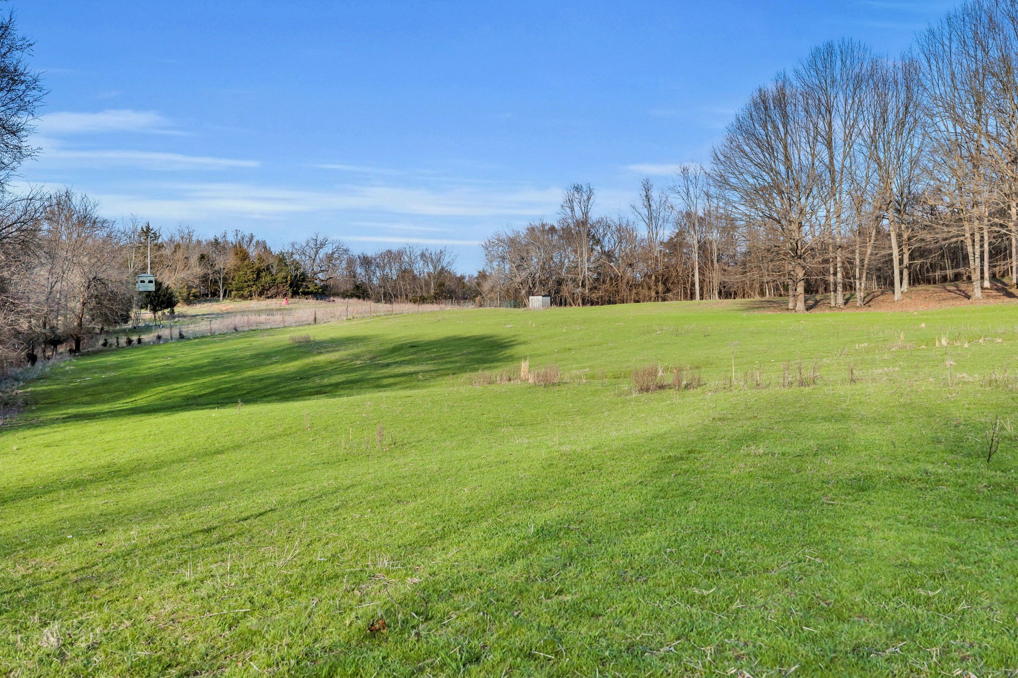 0 Fishing Ford Road Belfast, TN 37019 - Photo 40 of 70 a view of a field of grass and trees