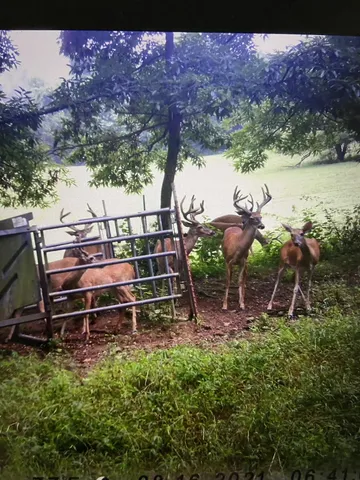 a view of residential houses with outdoor space