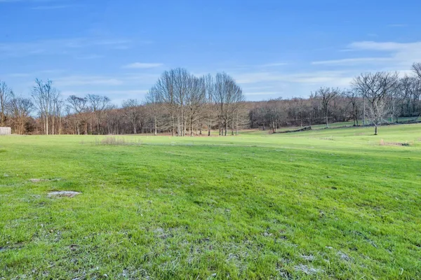 a view of a field with an ocean