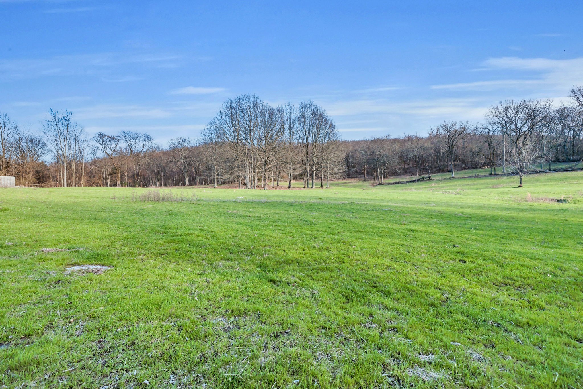 0 Fishing Ford Road Belfast, TN 37019 - Photo 43 of 70 a view of a grassy field with trees in the background
