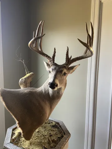 a view of a lake with houses in the background
