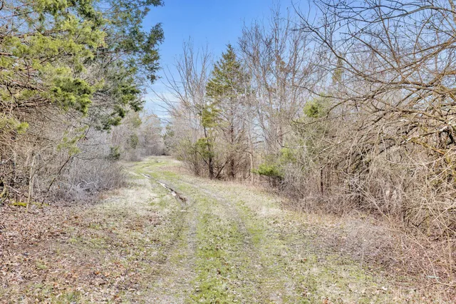 a view of a grassy area with an ocean view