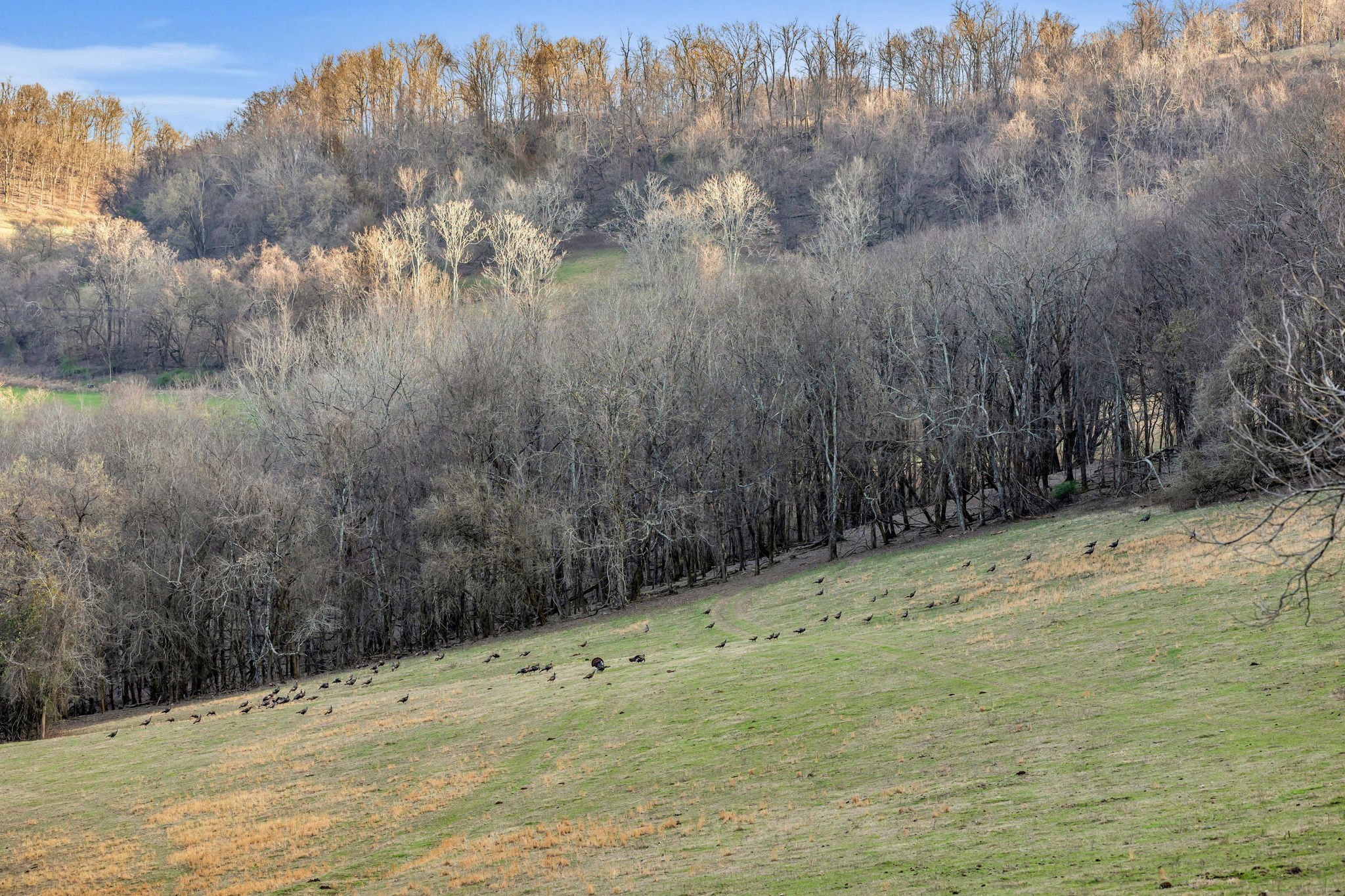 0 Fishing Ford Road Belfast, TN 37019 - Photo 47 of 70 a view of a backyard of a house