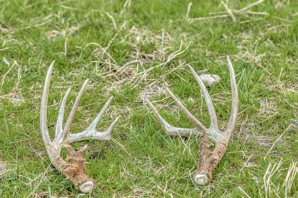 a view of an outdoor space and a yard