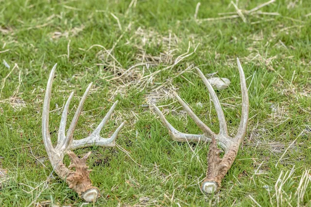 a view of an outdoor space and a yard