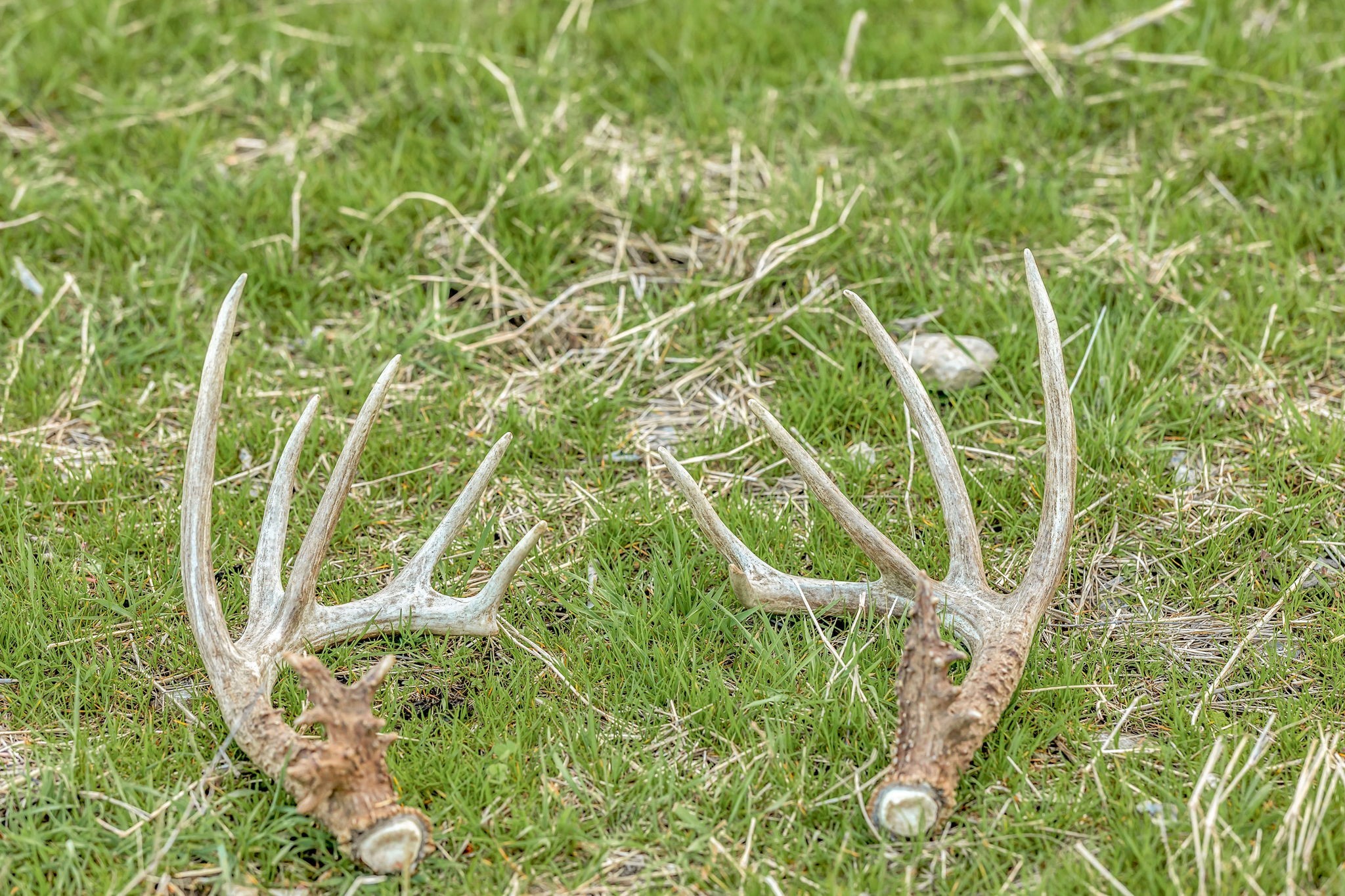 0 Fishing Ford Road Belfast, TN 37019 - Photo 48 of 70