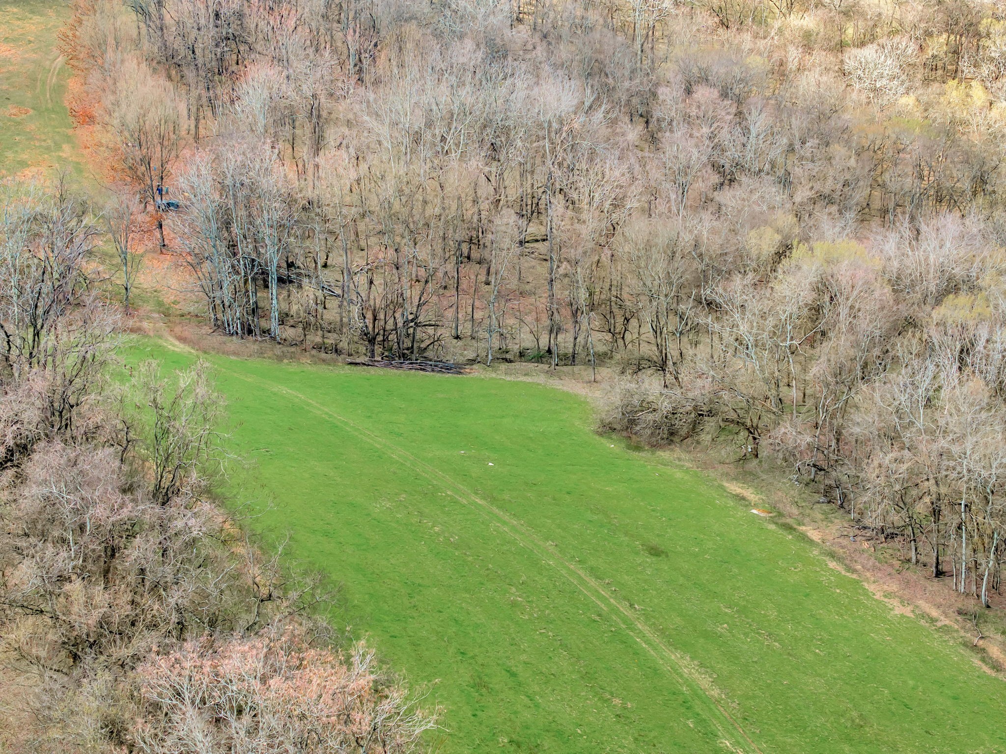 0 Fishing Ford Road Belfast, TN 37019 - Photo 49 of 70 a view of a yard with green space