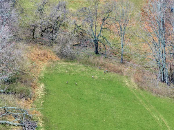 $4,900,000 | 0 Fishing Ford Road, Belfast, TN 37019