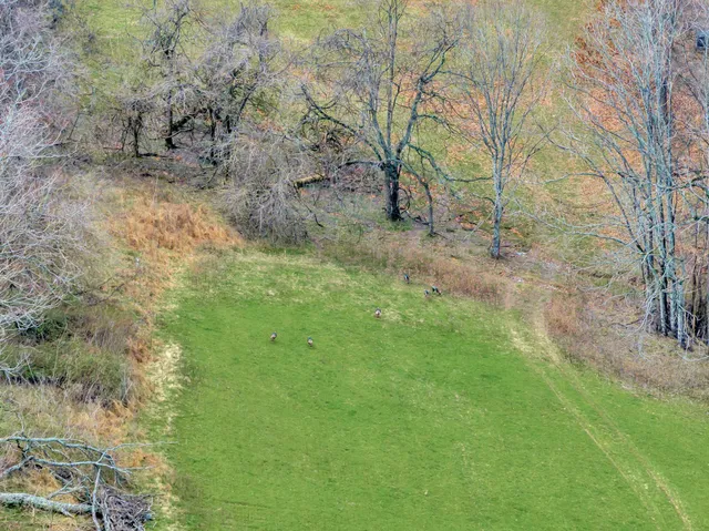 $4,900,000 | 0 Fishing Ford Road, Belfast, TN 37019