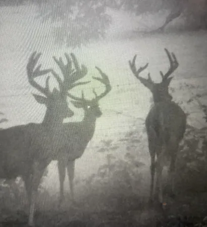 $4,900,000 | 0 Fishing Ford Road, Belfast, TN 37019