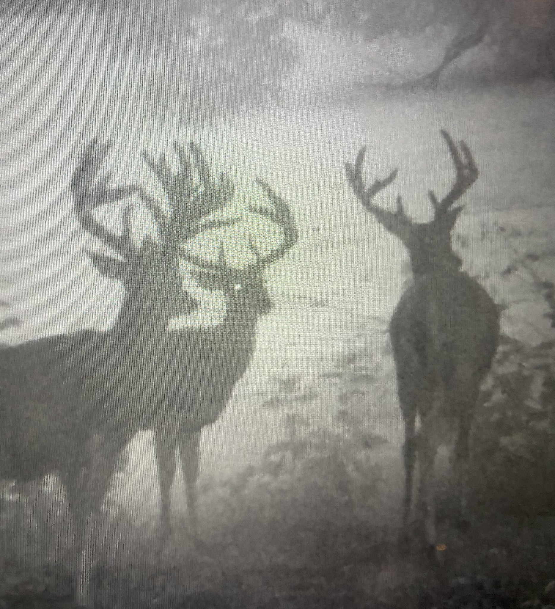 0 Fishing Ford Road Belfast, TN 37019 - Photo 54 of 70 a close view of a shower in a bathroom