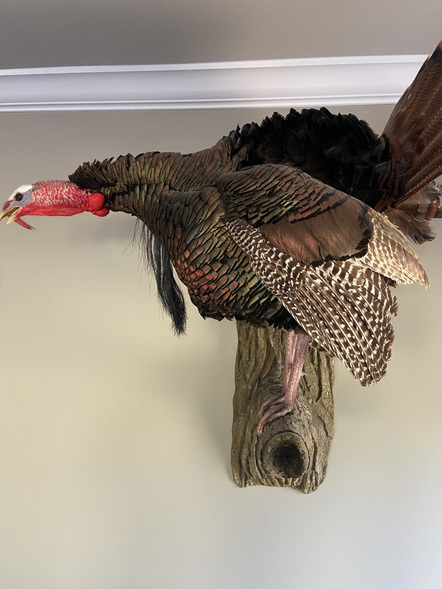0 Fishing Ford Road Belfast, TN 37019 - Photo 57 of 70 a close up of a curtain in a bedroom