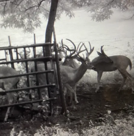 $4,900,000 | 0 Fishing Ford Road, Belfast, TN 37019