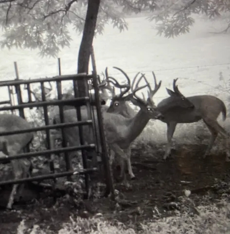 $4,900,000 | 0 Fishing Ford Road, Belfast, TN 37019