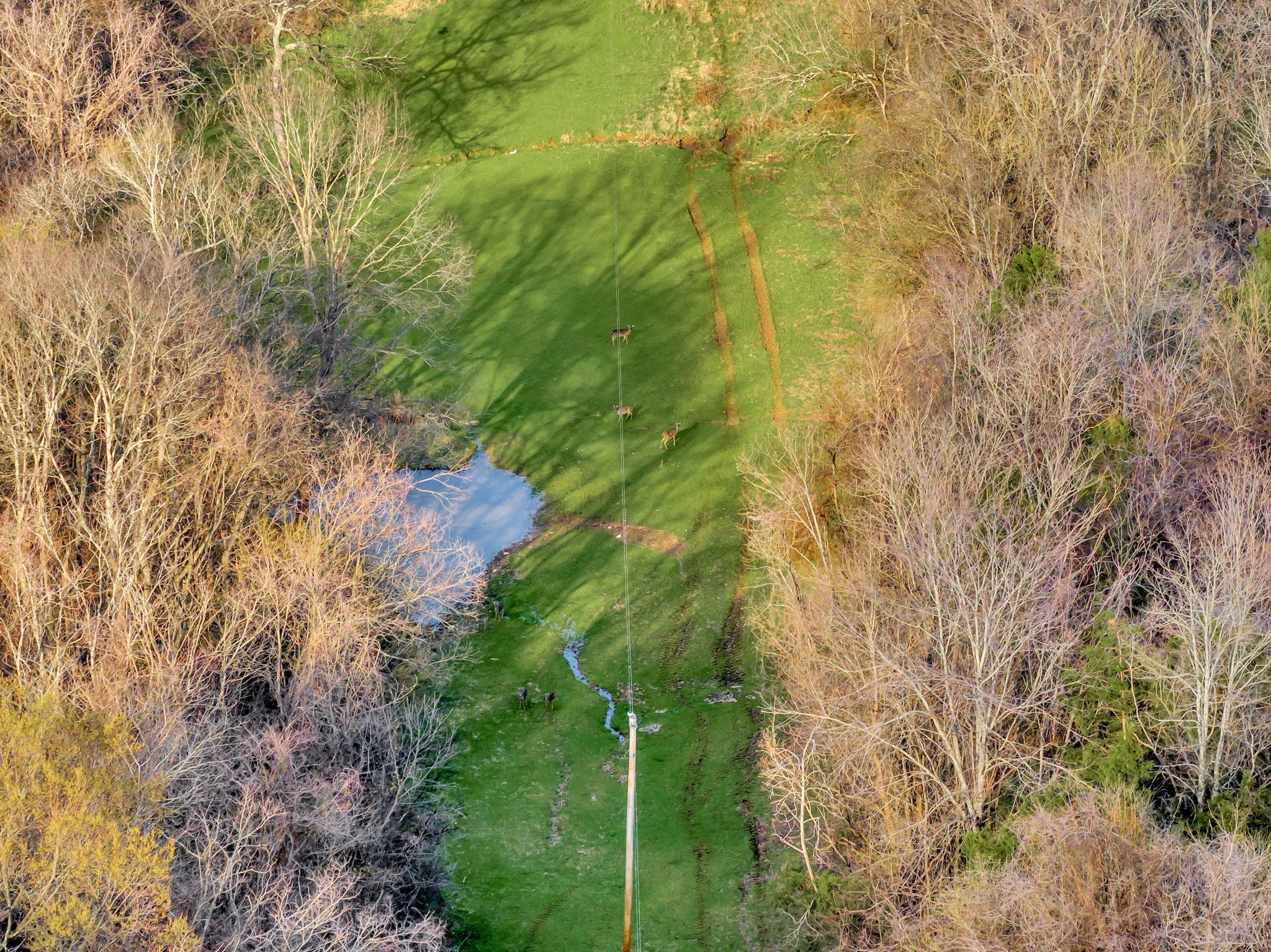 0 Fishing Ford Road Belfast, TN 37019 - Photo 62 of 70 a map view of location