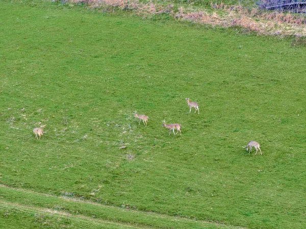 $4,900,000 | 0 Fishing Ford Road, Belfast, TN 37019