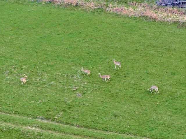 $4,900,000 | 0 Fishing Ford Road, Belfast, TN 37019