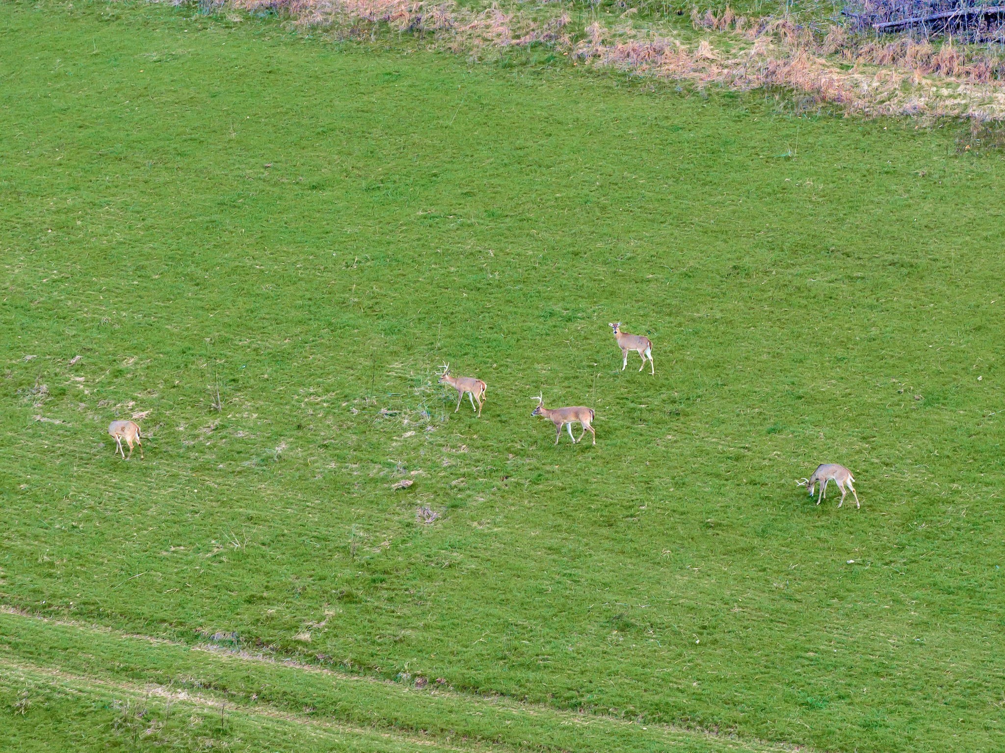 0 Fishing Ford Road Belfast, TN 37019 - Photo 66 of 70