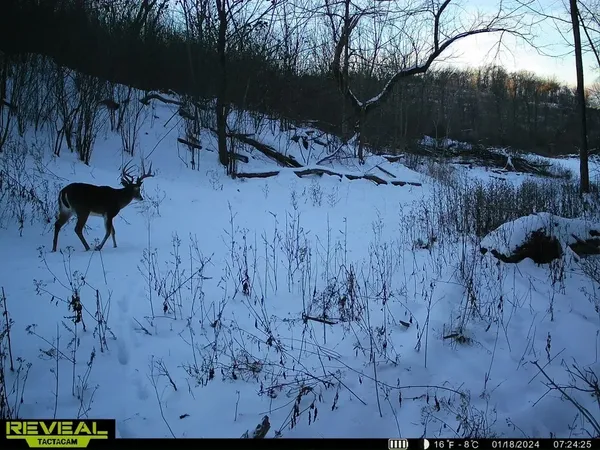 $4,900,000 | 0 Fishing Ford Road, Belfast, TN 37019