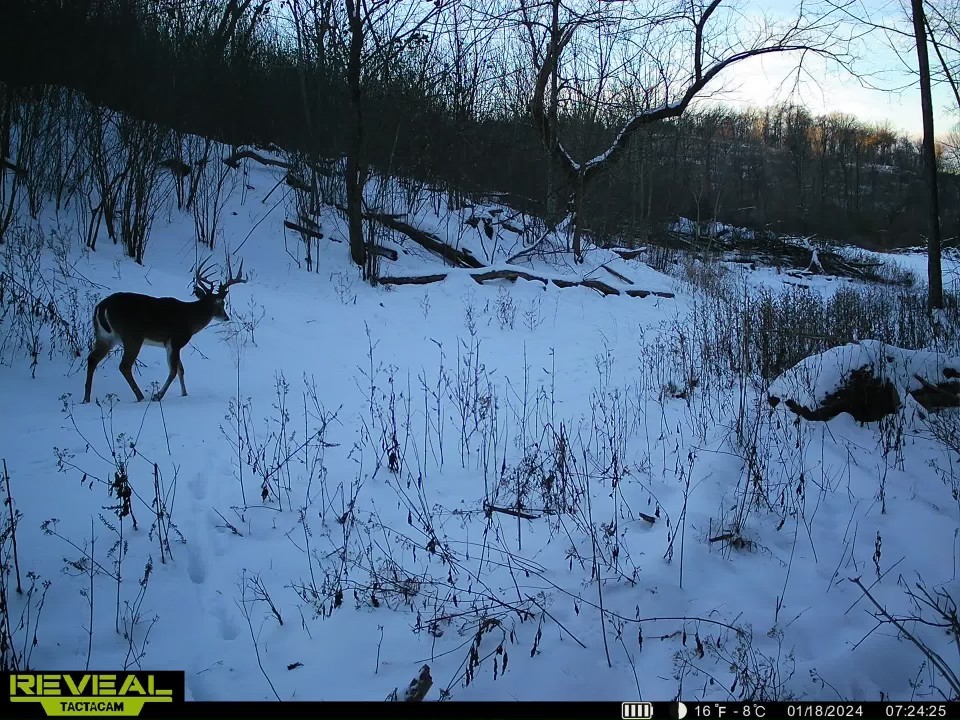 0 Fishing Ford Road Belfast, TN 37019 - Photo 70 of 70 a view of a backyard