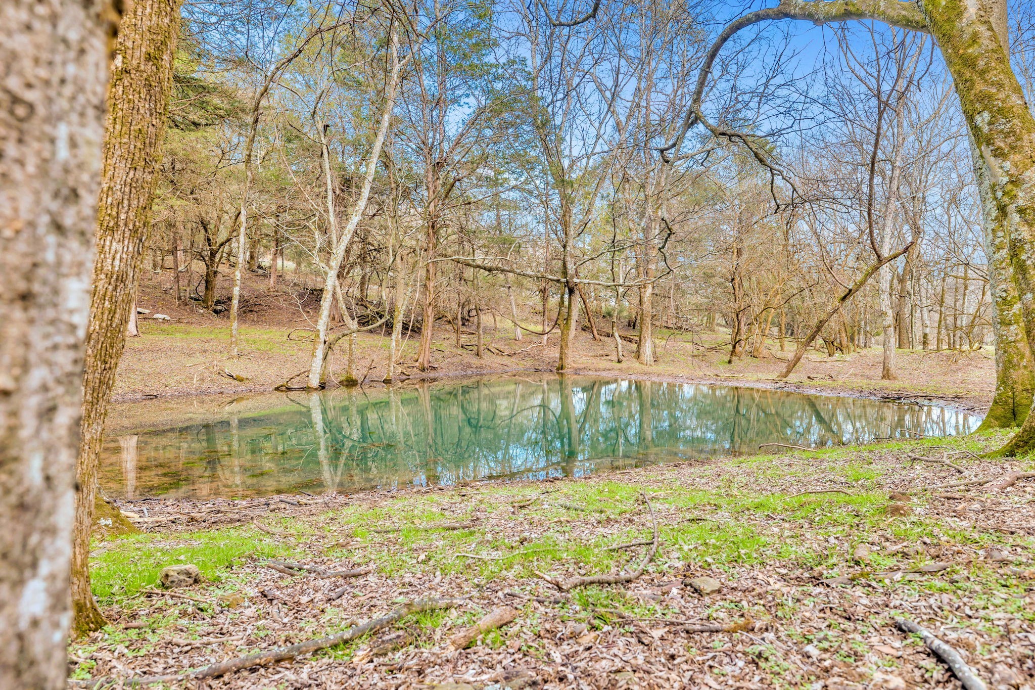 0 Fishing Ford Road Belfast, TN 37019 - Photo 8 of 70 a backyard of a house with lots of green space and fountain