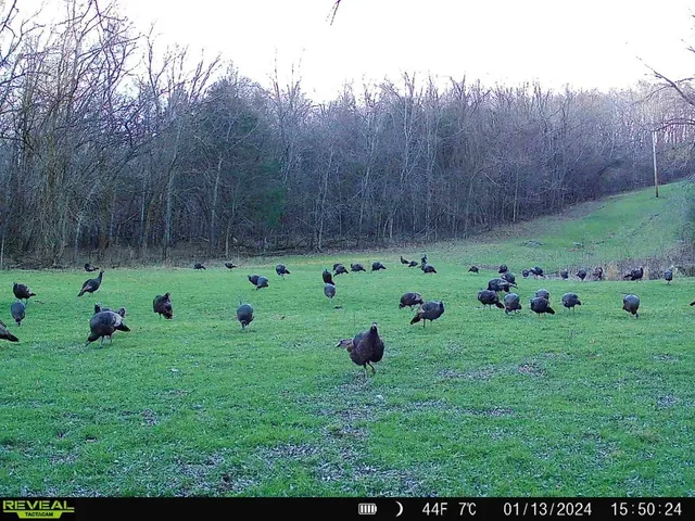an aerial view of residential house with swimming pool