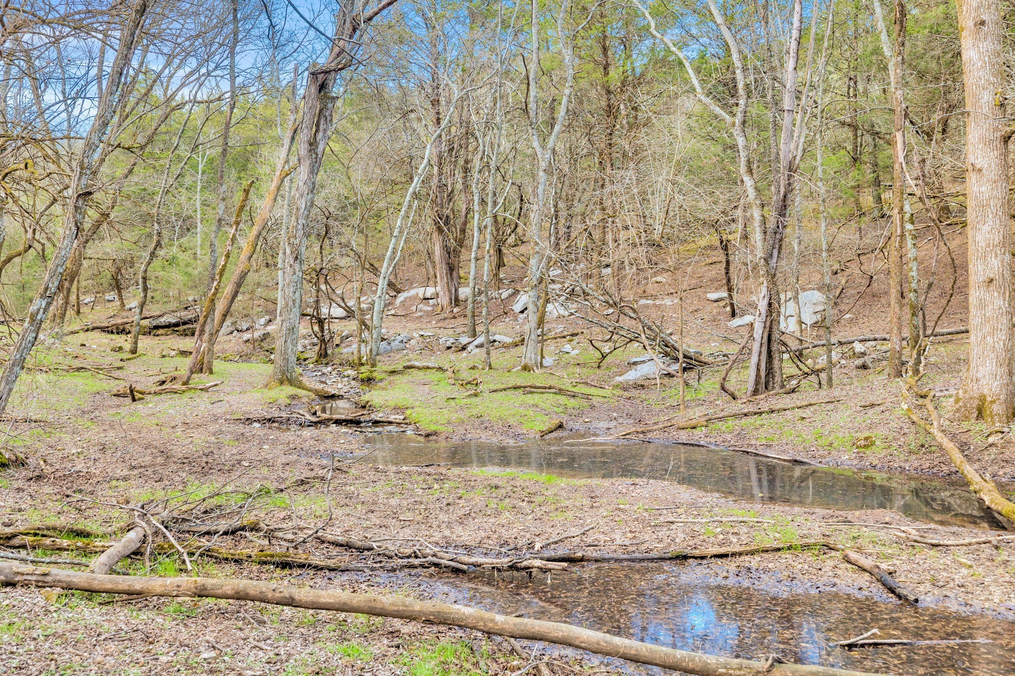 0 Fishing Ford Road Belfast, TN 37019 - Photo 10 of 70