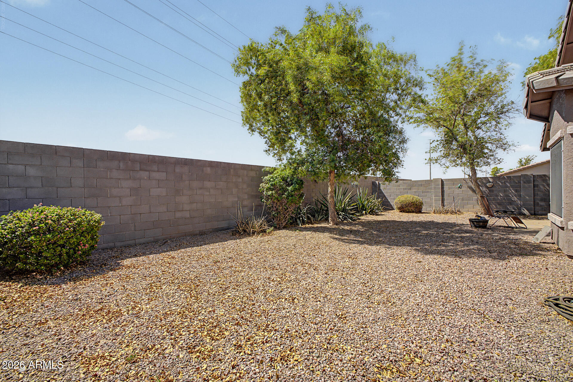 3645 South Joshua Tree Lane Gilbert, AZ 85297 - Photo 28 of 28 28 - Joshua Tree
