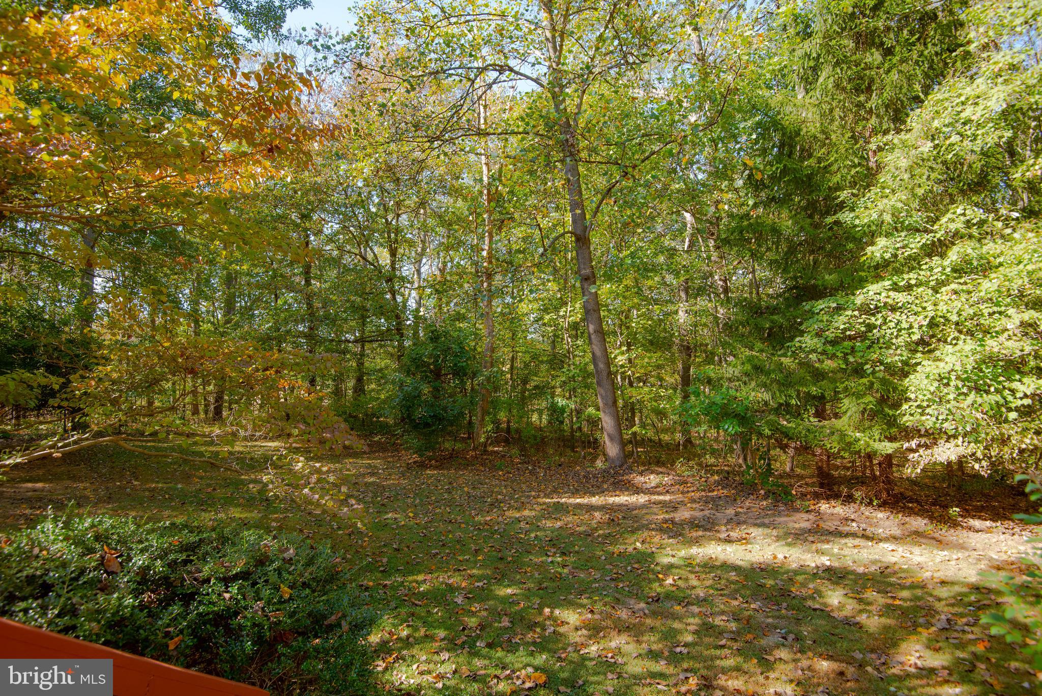 1480 Bollinger Road Westminster, MD 21157 - Photo 41 of 58 Nature abounds...